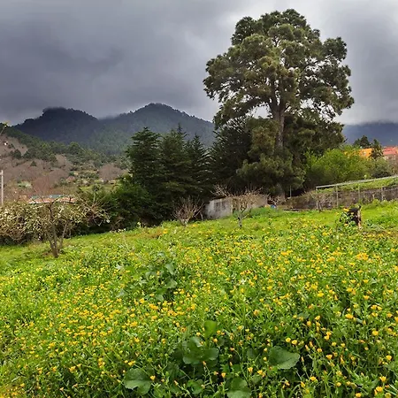 Casa Rural Pinolere * لا أوروتافا