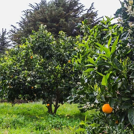 Casa Rural Pinolere لا أوروتافا